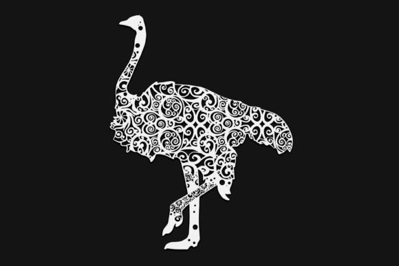 Ostrich Mandala Drawing 102 Review